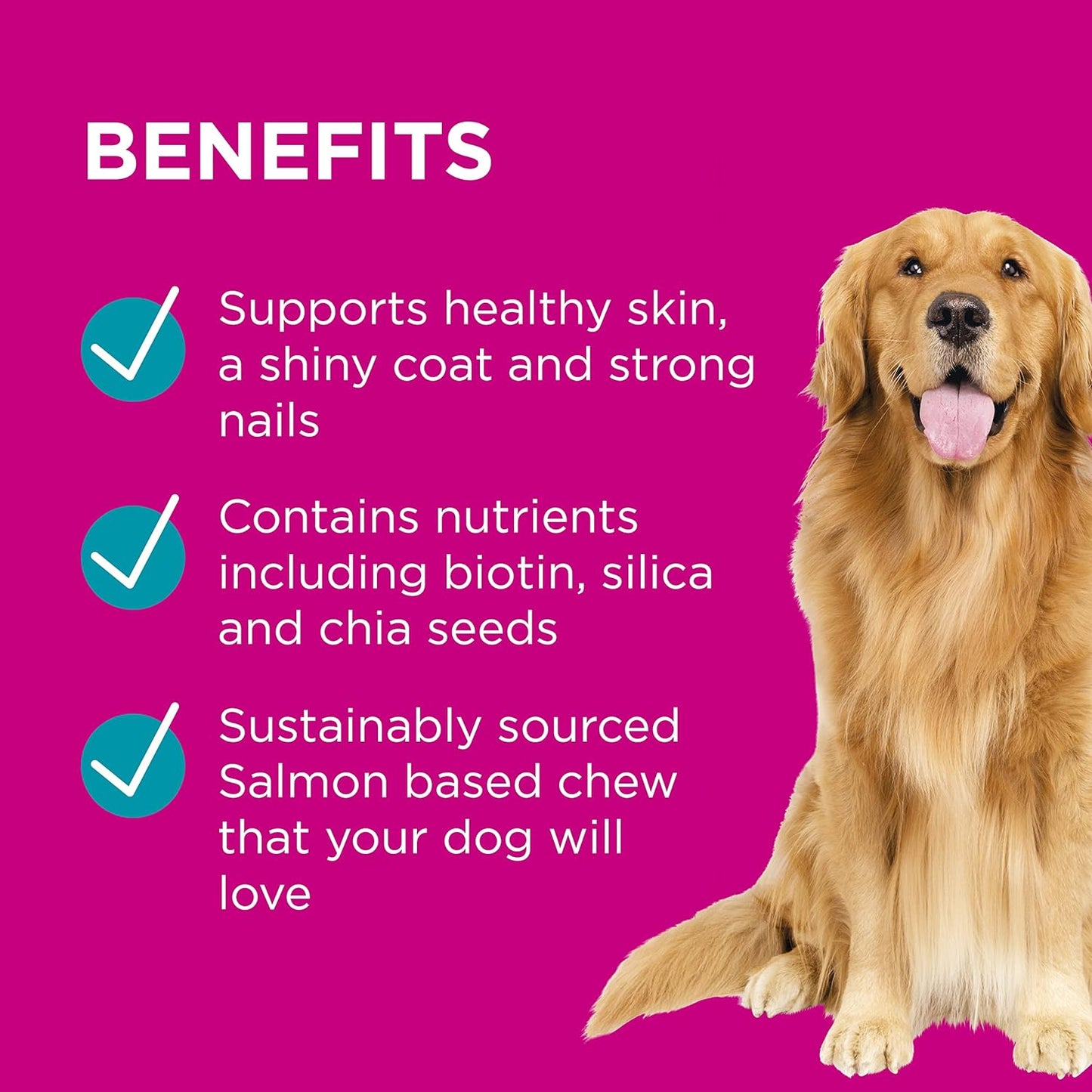 PAW By Blackmores Coat, Skin + Nails (For Dogs approx 60 Chews) 300g