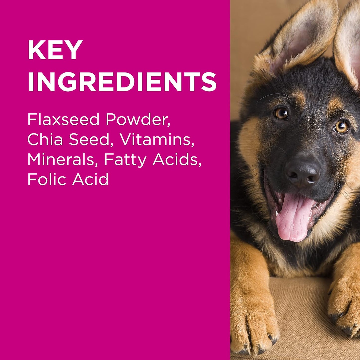 PAW By Blackmores Coat, Skin + Nails (For Dogs approx 60 Chews) 300g