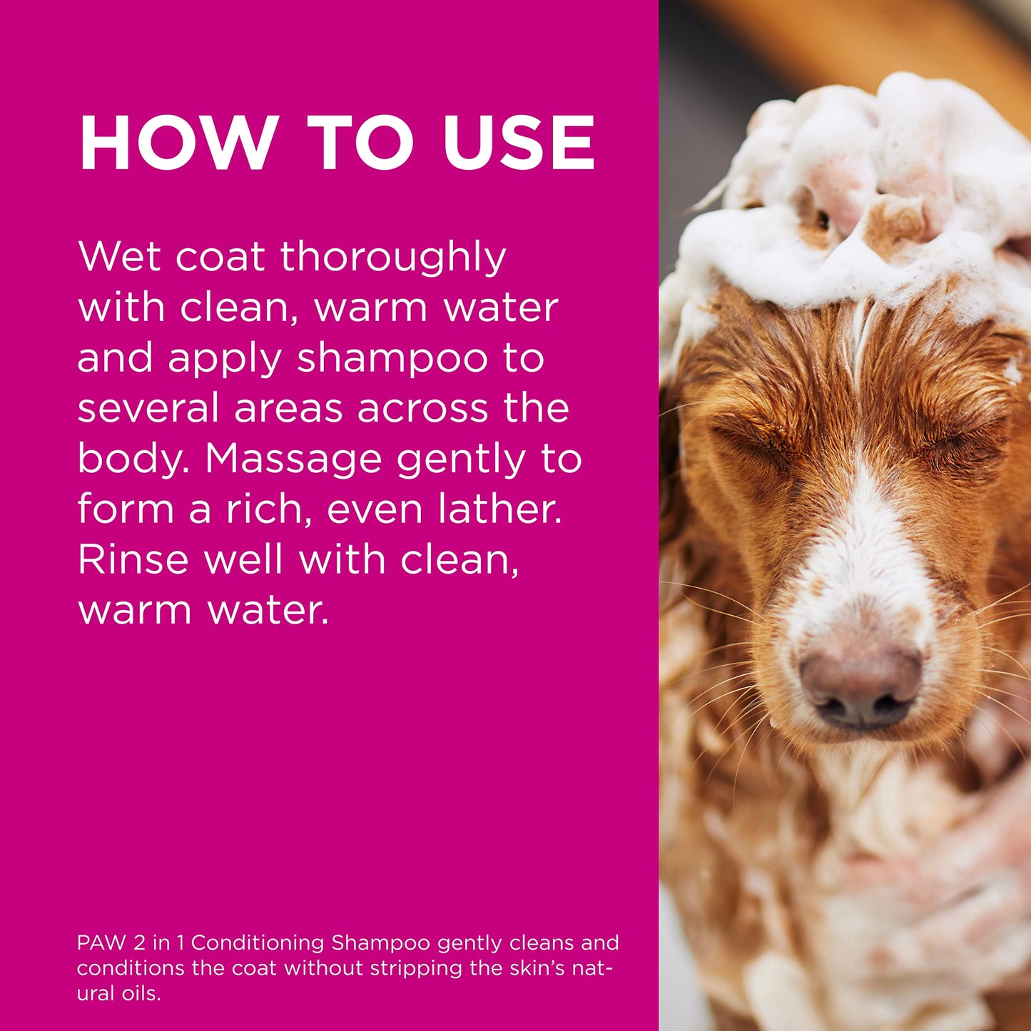 PAW 2-In-1 Conditioning Shampoo 500ml