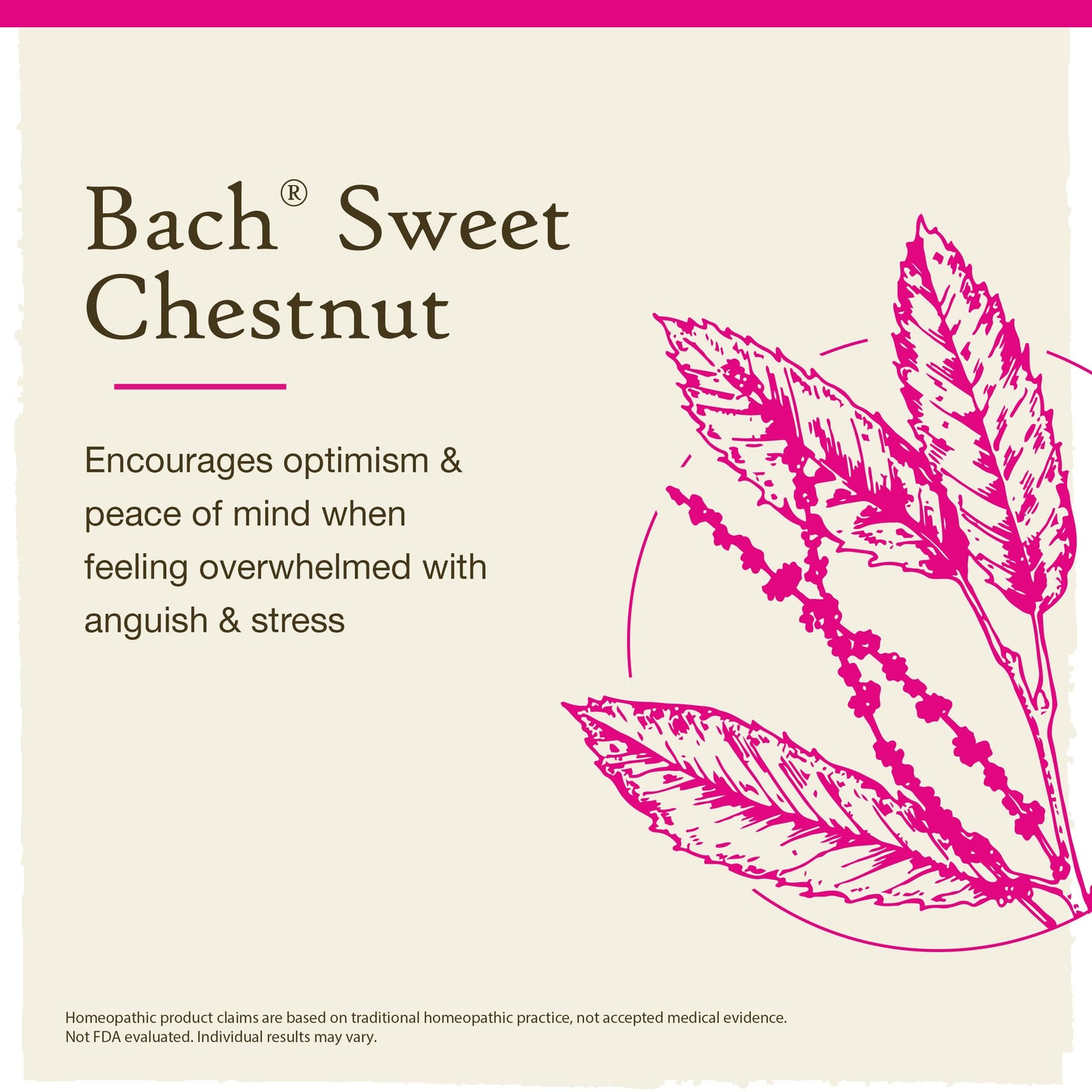 Bach Flower Remedies Sweet Chestnut 20ml