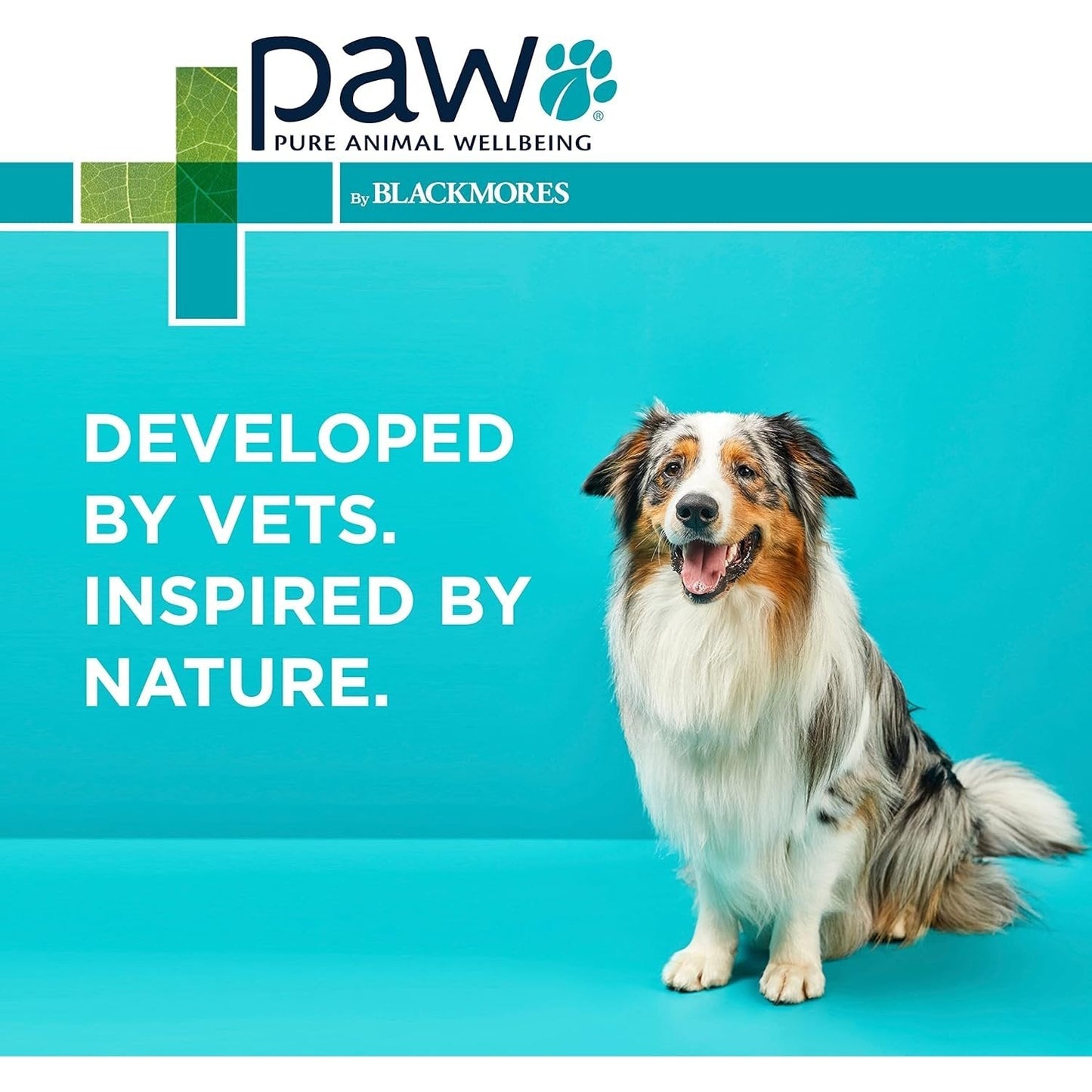PAW By Blackmores Coat, Skin + Nails (For Dogs approx 60 Chews) 300g