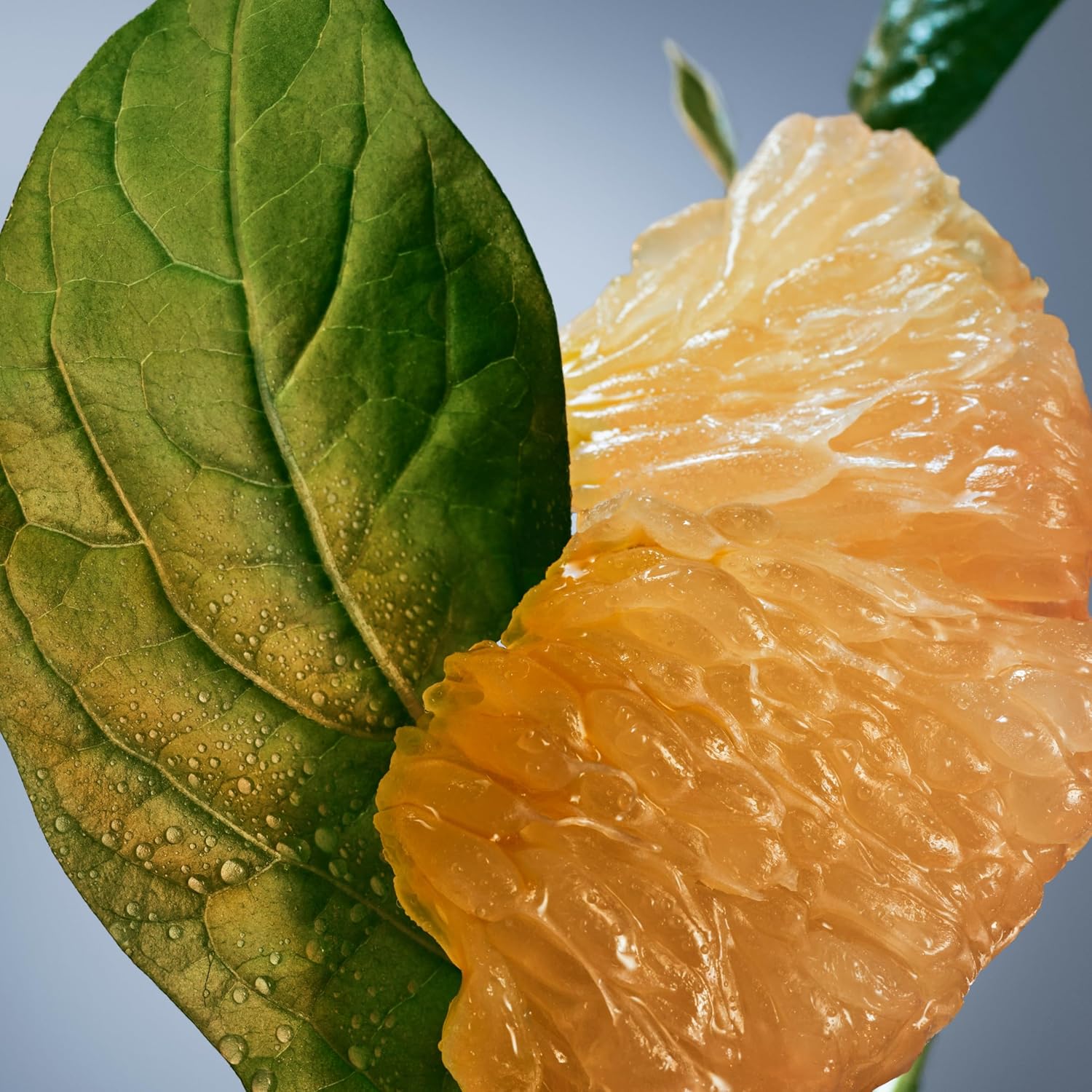 Hugo Boss Bottled Infinite Edp 100ml