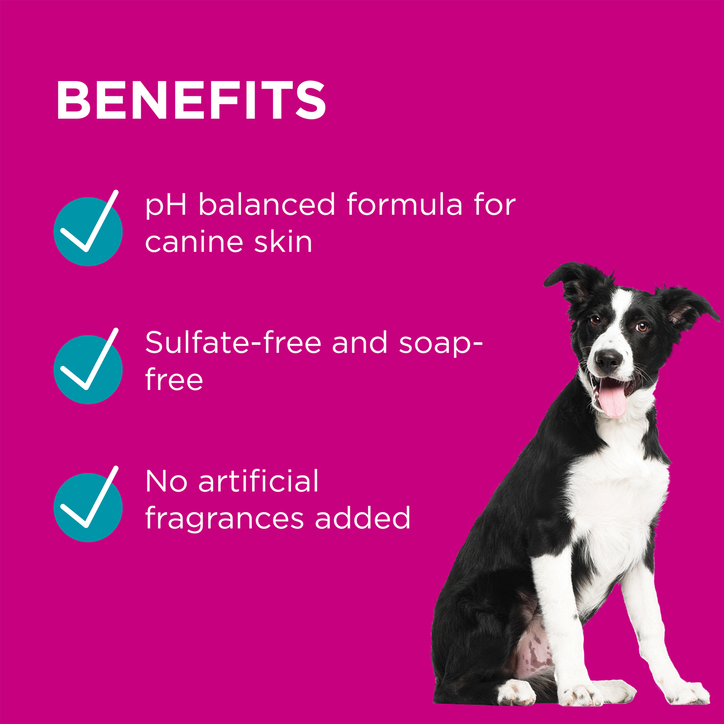 PAW BY BLACKMORES Conditioner & Groom Mist 200ml