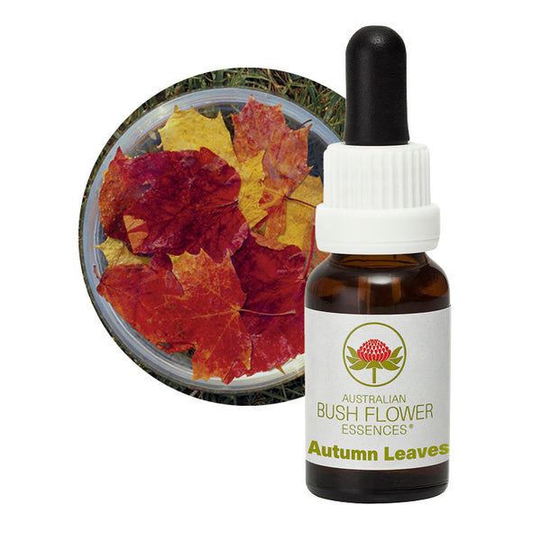 Australian Bush Flower Essences Autumn Leaves 15ml