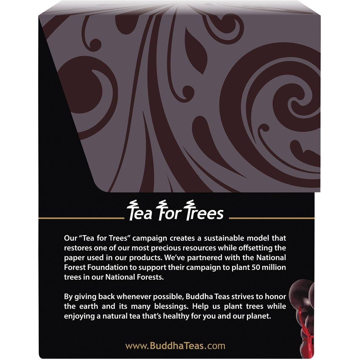 BUDDHA TEAS Organic Herbal Tea Bags Elderberry Tea 18