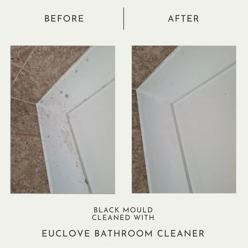 Euclove Bathroom 1L