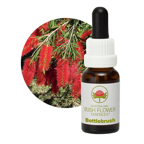 Australian Bush Flower Essences Bottlebrush 15ml
