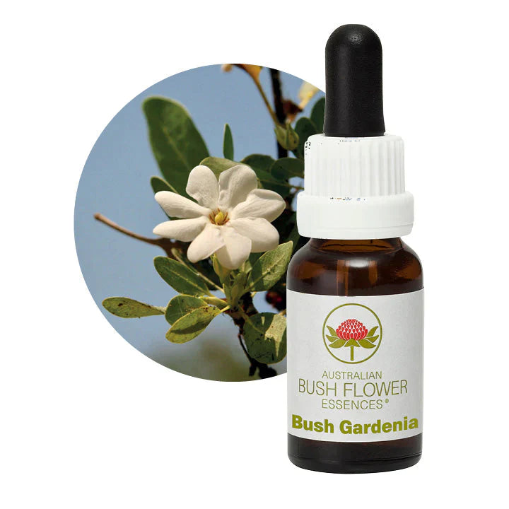 Australian Bush Flower Essences Bush Gardenia 15ml