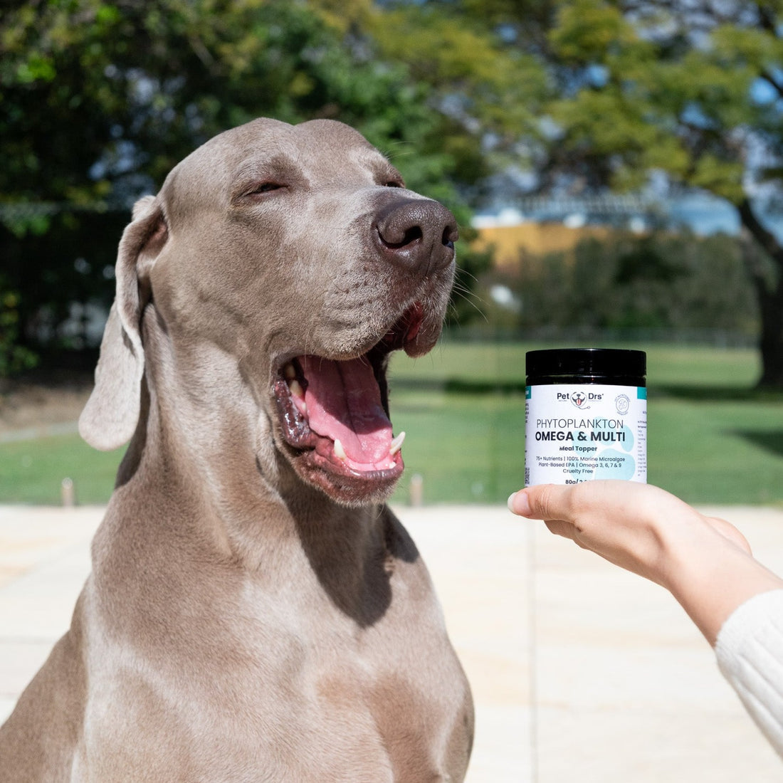 Pet Drs Phytoplankton Omega & Multi Meal Topper 80g