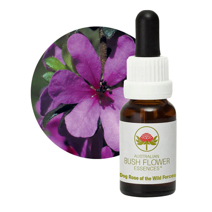 Australian Bush Flower Essences Dog Rose of Wild Forces 15ml