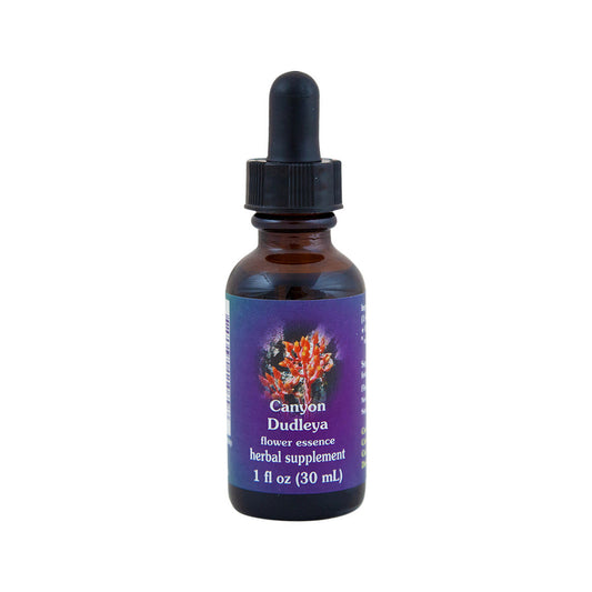 FES Organic Quintessentials Flower Essence Canyon Dudleya 30ml