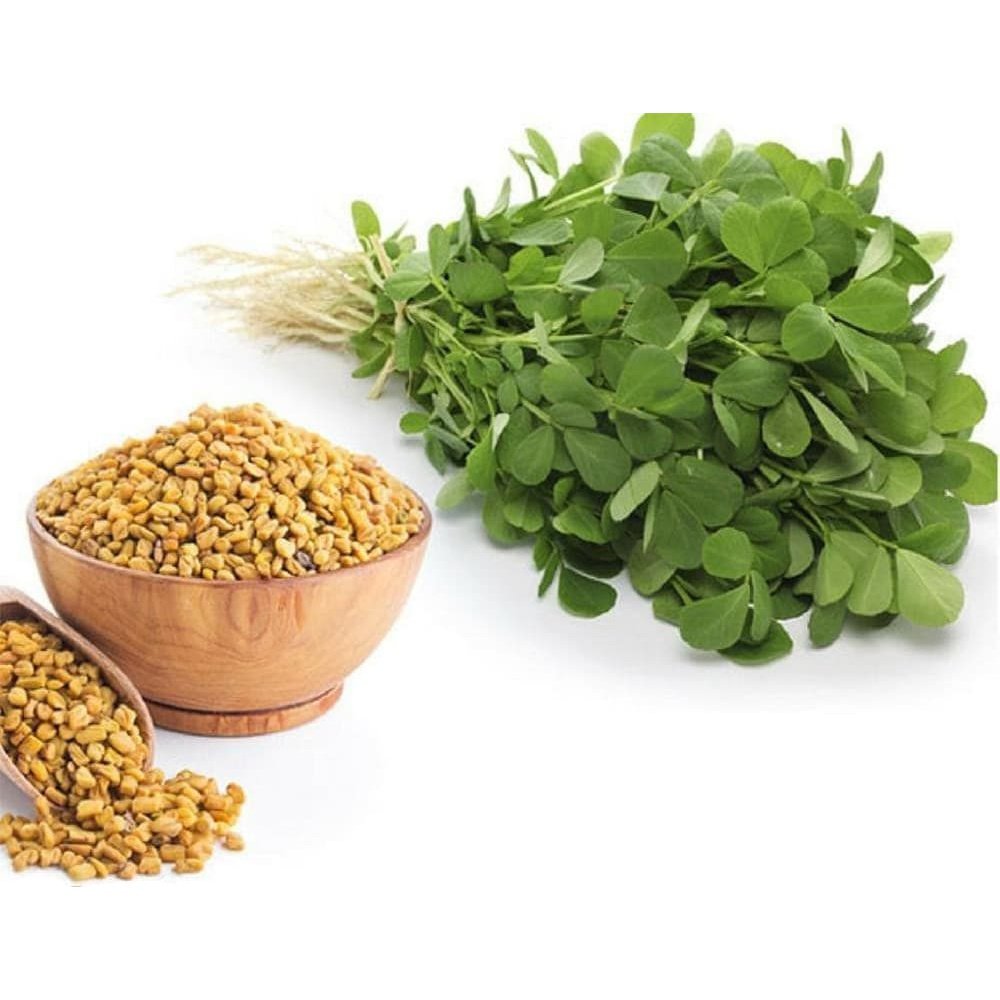 Nature's Own Fenugreek 1000mg for Breast Milk Production Support 60 Capsules