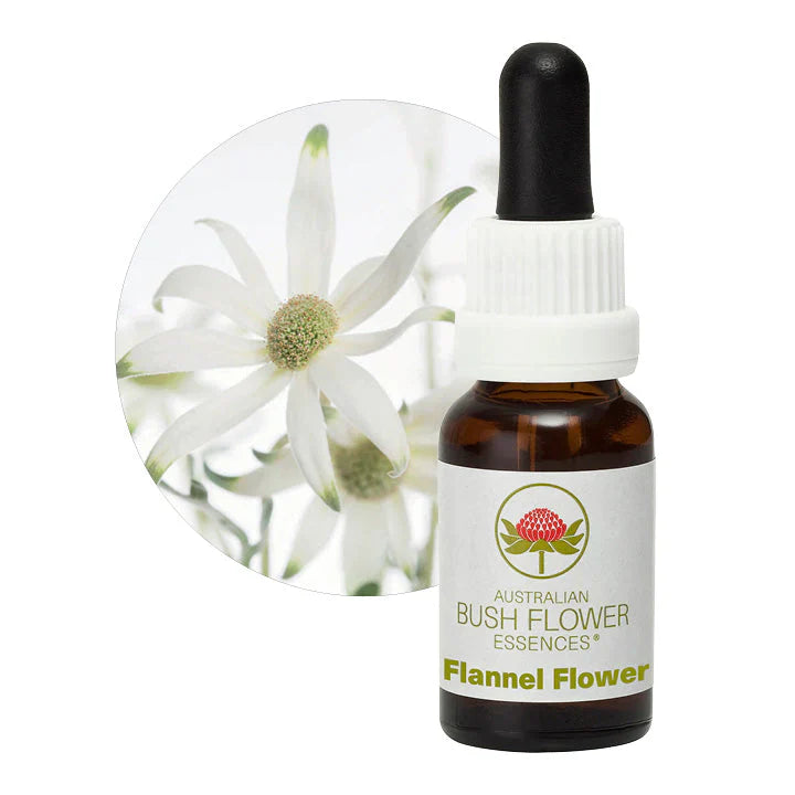 Australian Bush Flower Essences Flannel Flower 15ml
