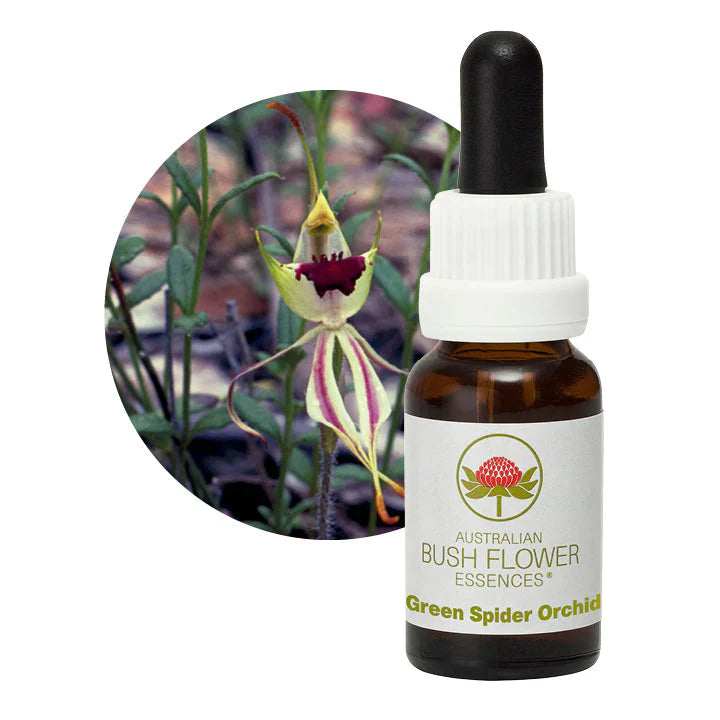Australian Bush Flower Essences Green Spider Orchid 15ml