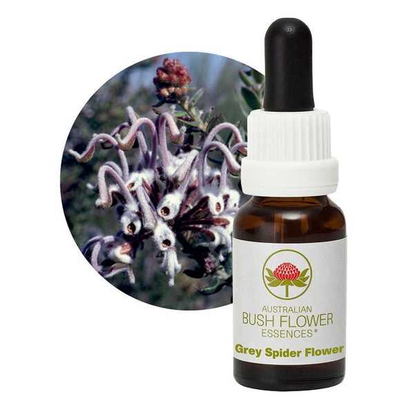 Australian Bush Flower Essences Grey Spider Flower 15ml