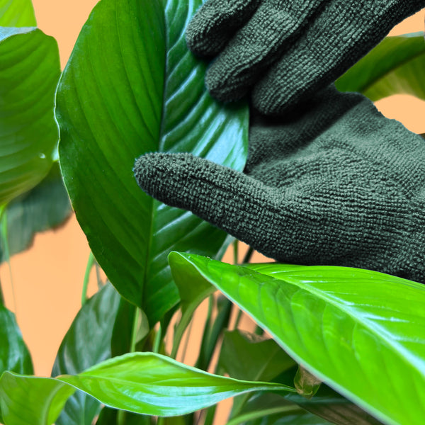 We The Wild Plant Care Leaf Cleaning Gloves