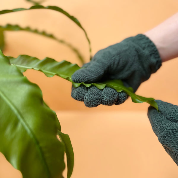 We The Wild Plant Care Leaf Cleaning Gloves