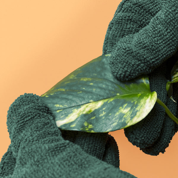 We The Wild Plant Care Leaf Cleaning Gloves