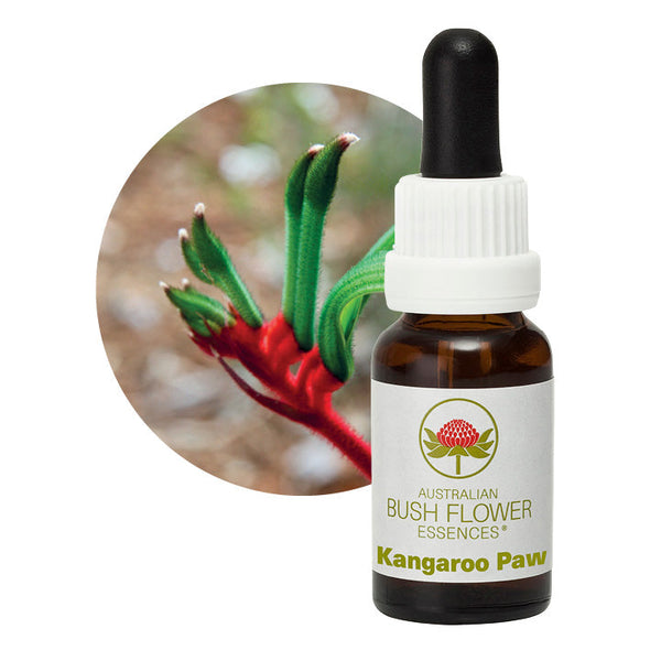 Australian Bush Flower Essences Kangaroo Paw 15ml