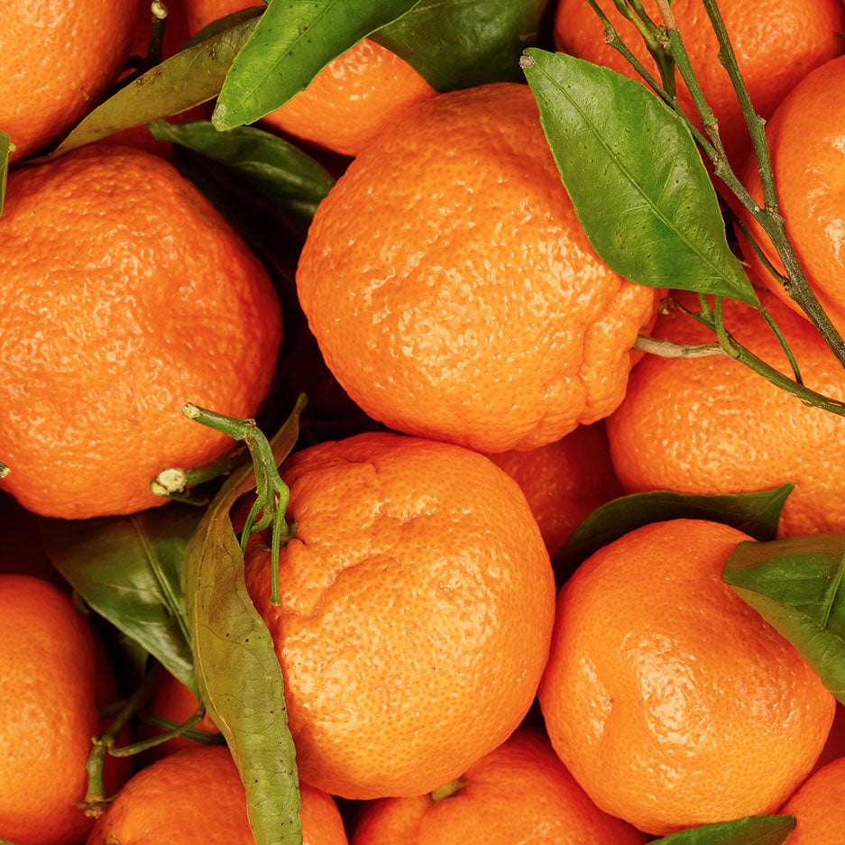 Ausganica Organic Essential Oil Mandarin Red 10ml