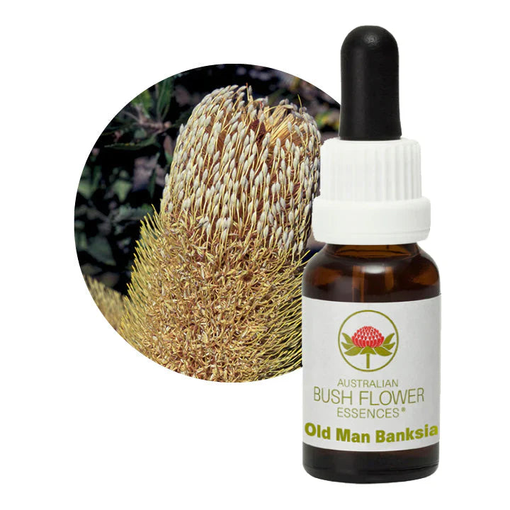 Australian Bush Flower Essences Old Man Banksia 15ml
