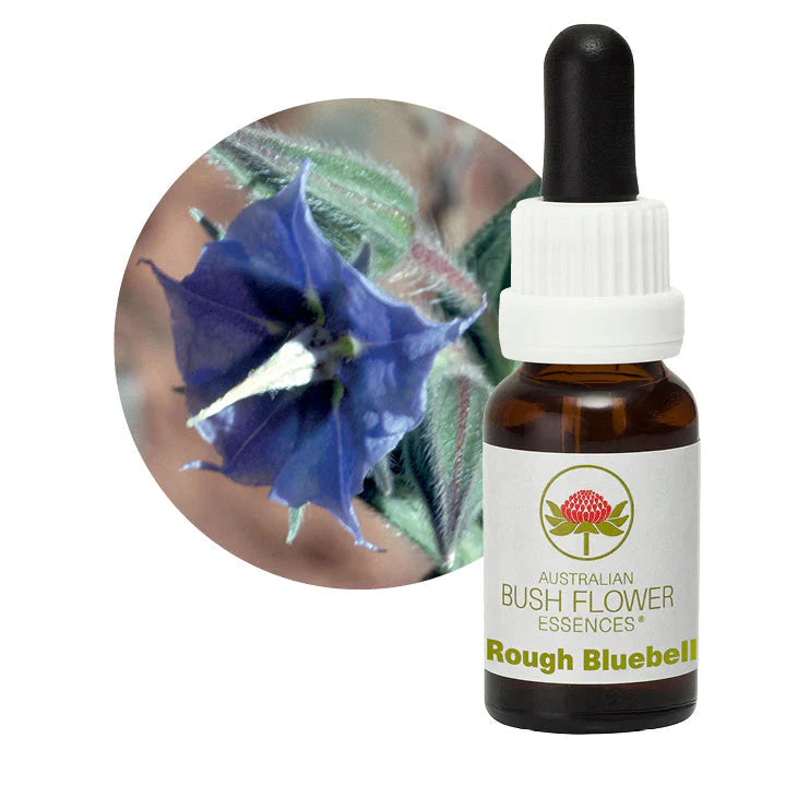 Australian Bush Flower Essences Rough Bluebell 15ml