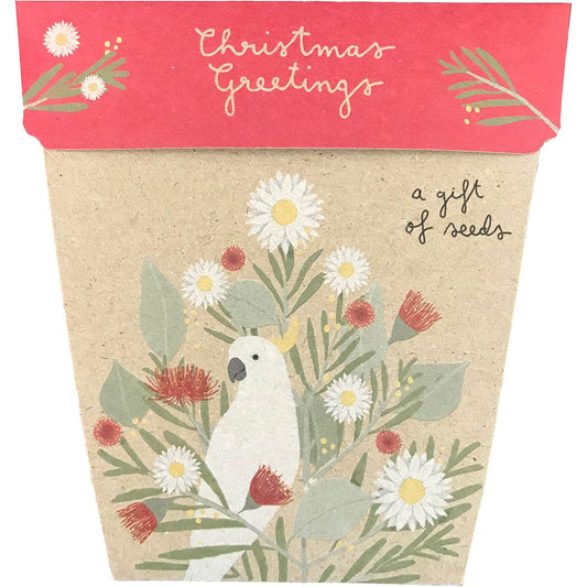 SOW 'N SOW Gift of Seeds Christmas Greetings 1