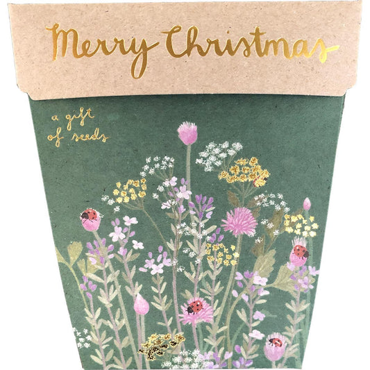 SOW 'N SOW Gift of Seeds Merry Christmas 1