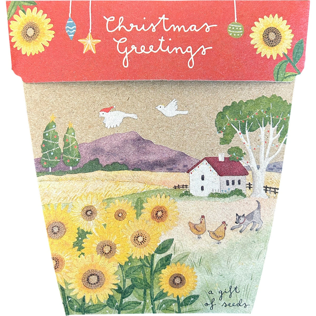 SOW 'N SOW Gift of Seeds Christmas Sunflowers 1