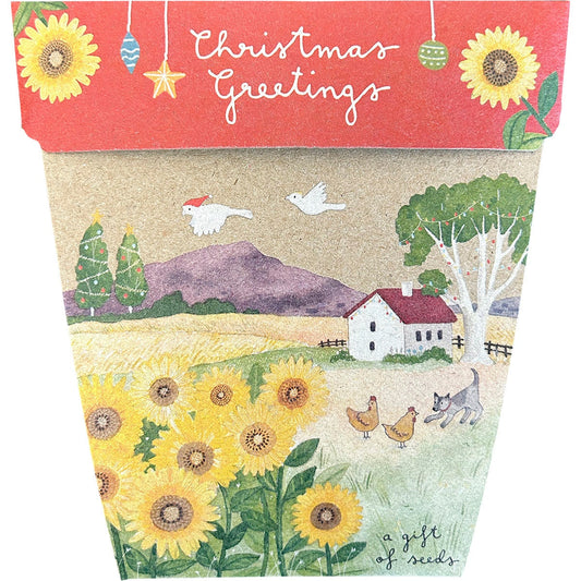 SOW 'N SOW Gift of Seeds Christmas Sunflowers 1