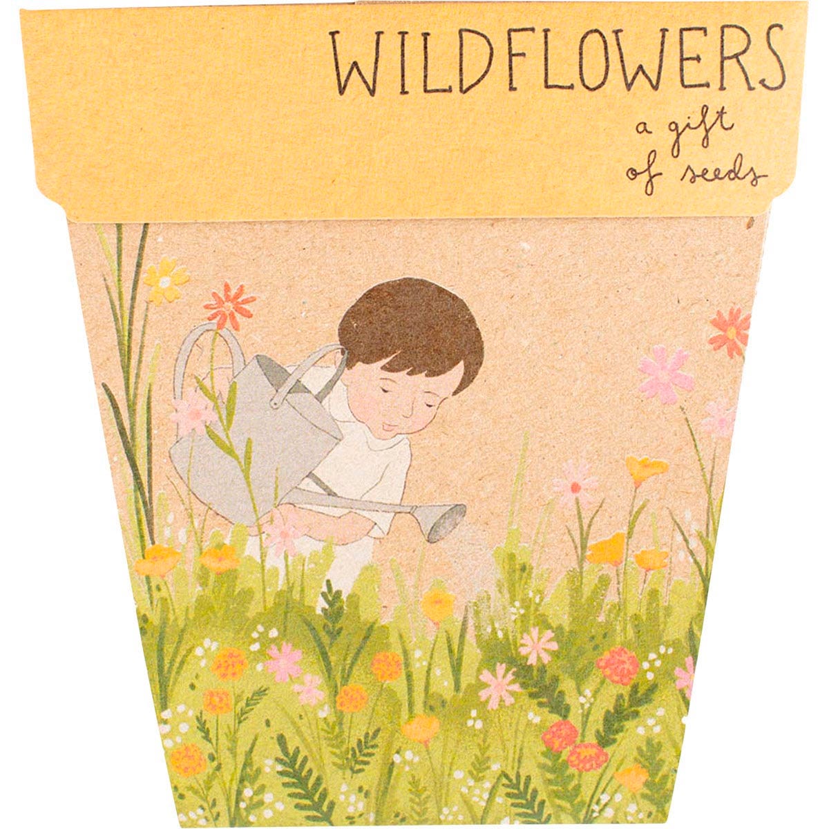 SOW 'N SOW Gift Of Seeds Wildflowers 1