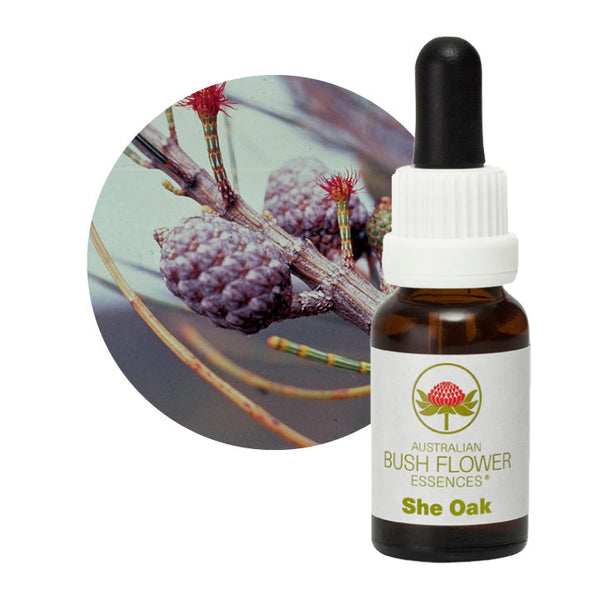 Australian Bush Flower Essences She Oak 15ml