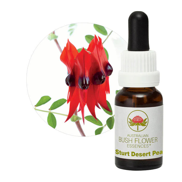 Australian Bush Flower Essences Sturt Desert Pea 15ml