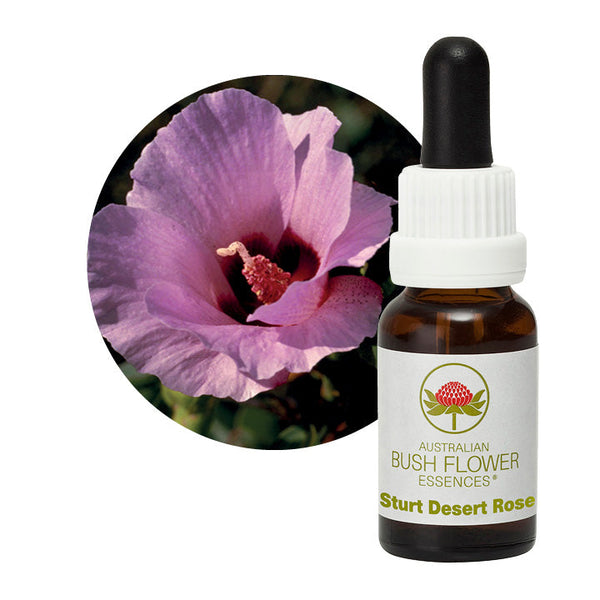 Australian Bush Flower Essences Sturt Desert Rose 15ml