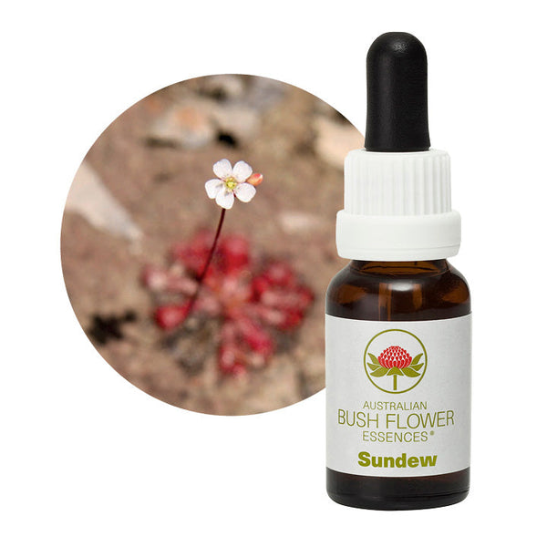 Australian Bush Flower Essences Sundew 15ml