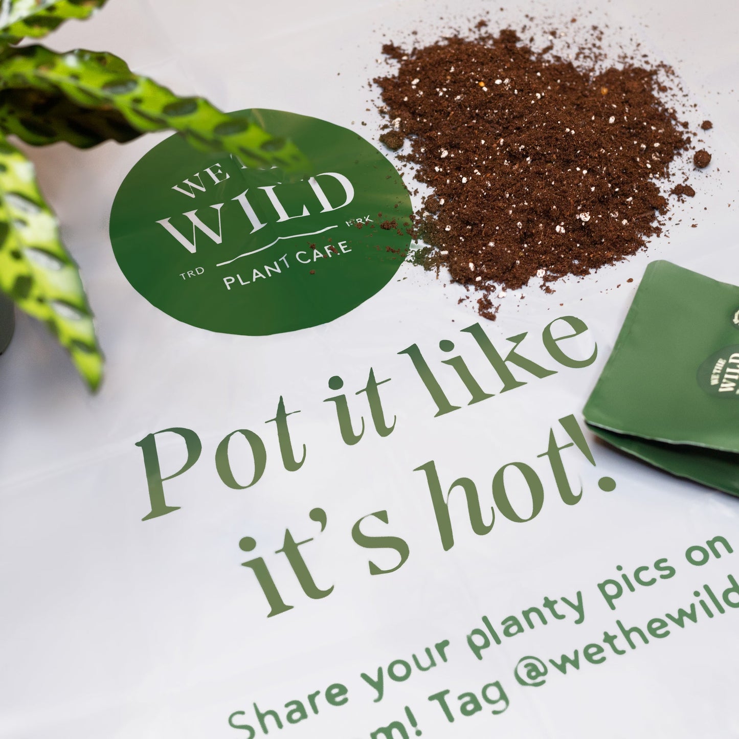 We The Wild Plant Care Organic Repotting Mat x 2 Pack