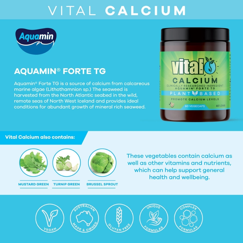 Martin & Pleasance Vital Calcium Vegecaps 60 Caps