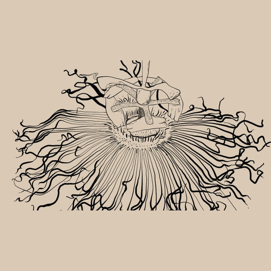 WANDERLUST SOULFUL SLEEP 30 CAPS