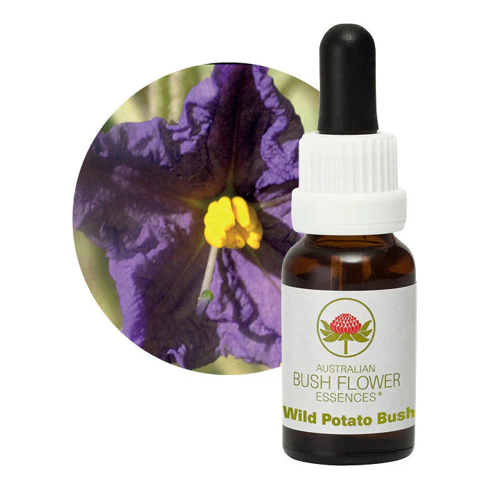 Australian Bush Flower Essences Wild Potato Bush 15ml
