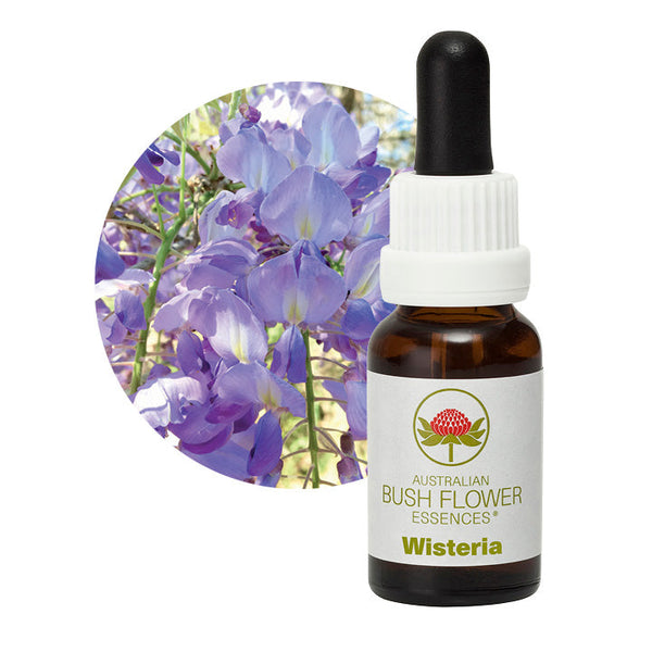 Australian Bush Flower Essences Wisteria 15ml