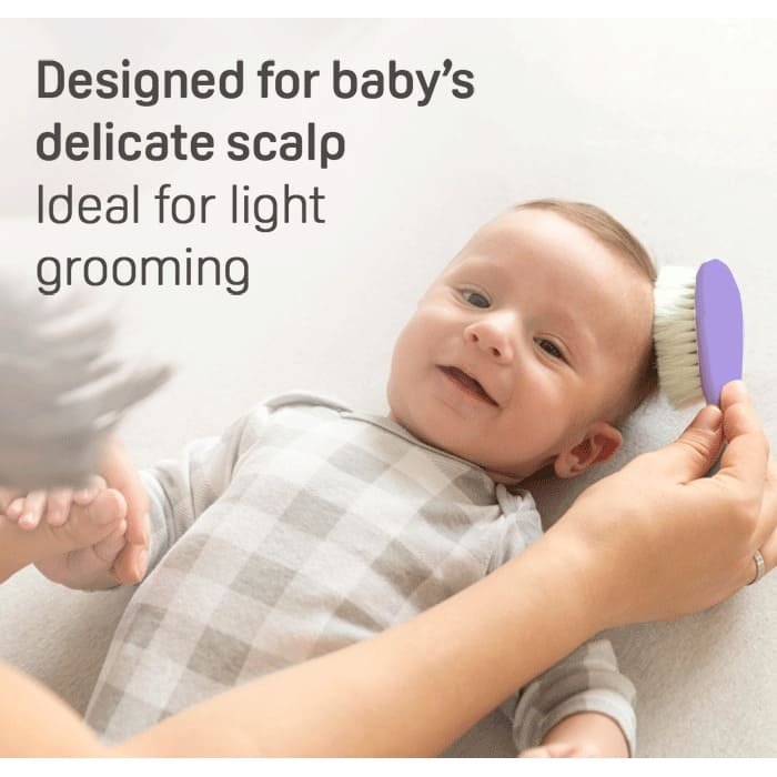 Pigeon Comb & Brush Set