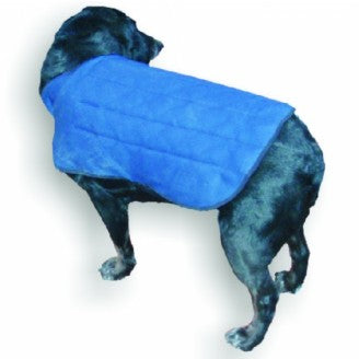 DICK WICKS DOG JACKET