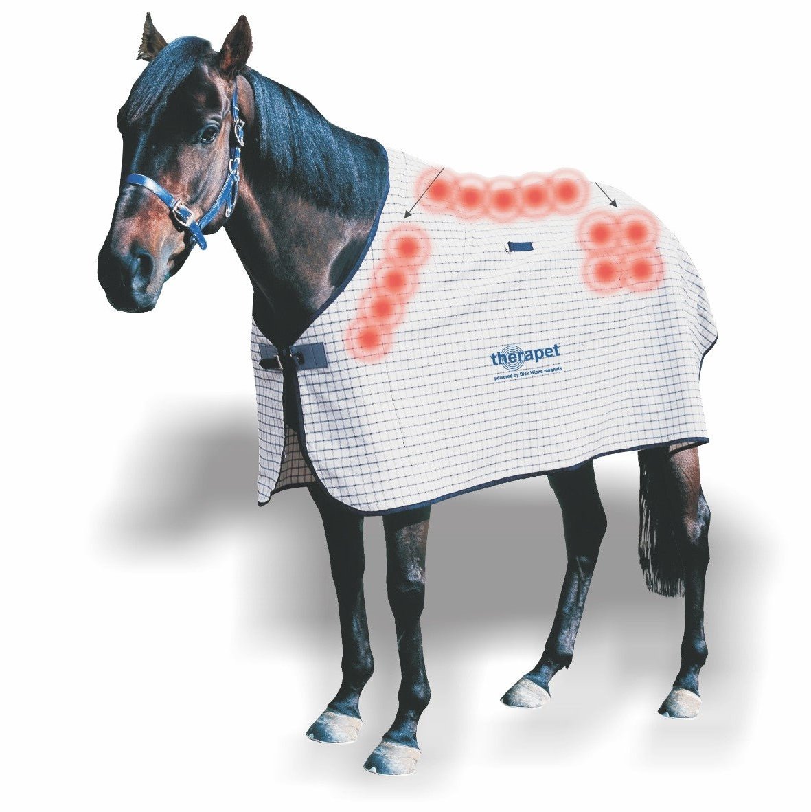DICK WICKS MAGNETIC HORSE RUG
