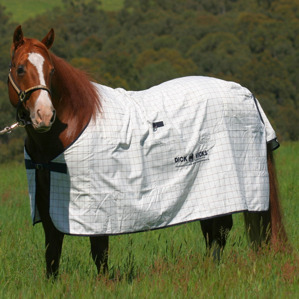 DICK WICKS MAGNETIC HORSE RUG