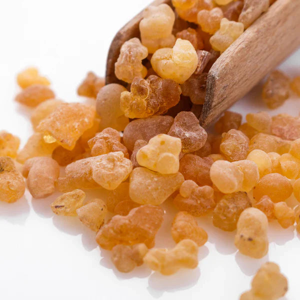 Ausganica Organic Essential Oil Frankincense Serrata 10ml