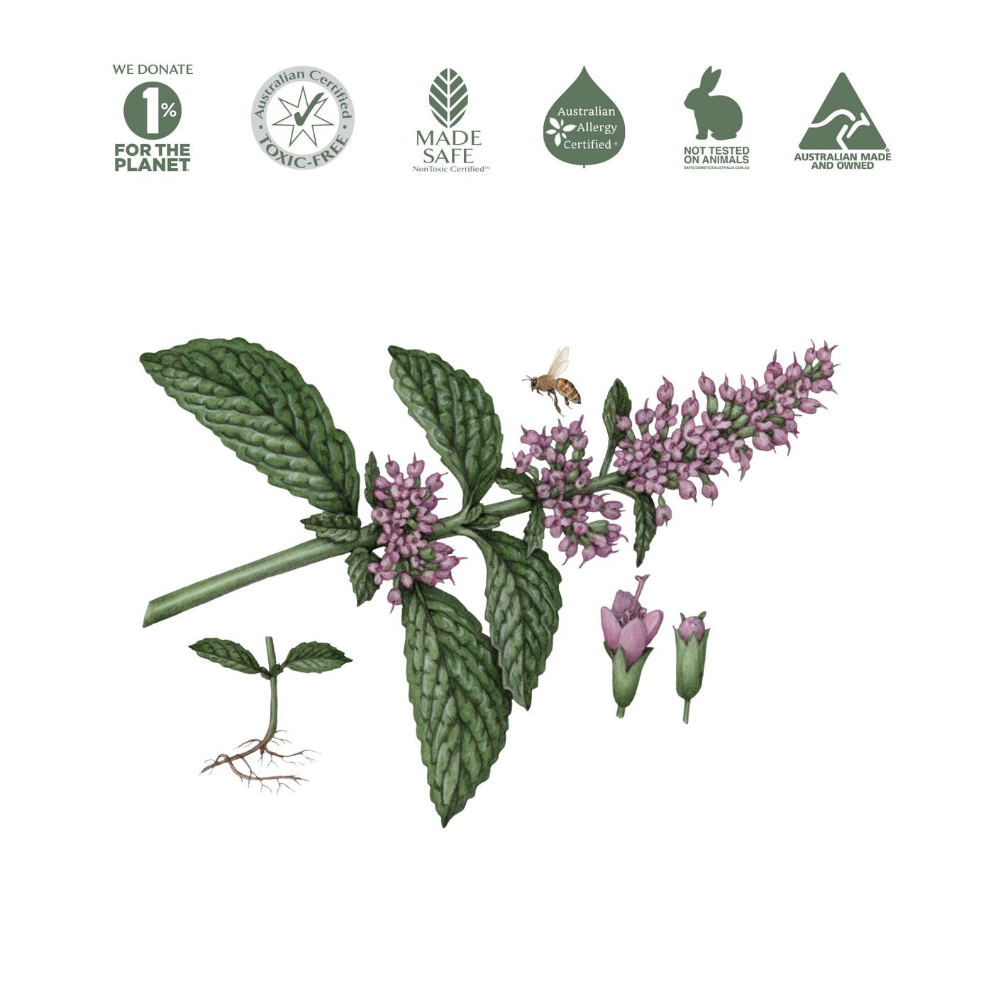 KOALA ECO Stainless Steel Cleaner Peppermint Essential Oil 500ml