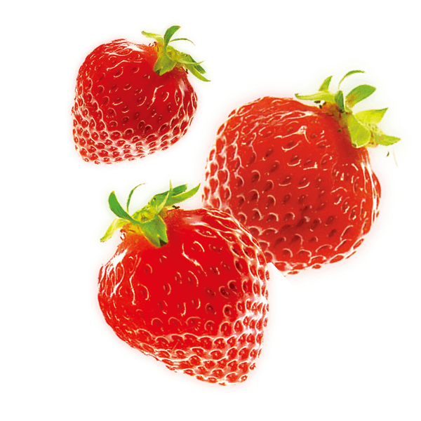 MACRO MIKE Plant-Based Aminos Strawberry Lychee 300g