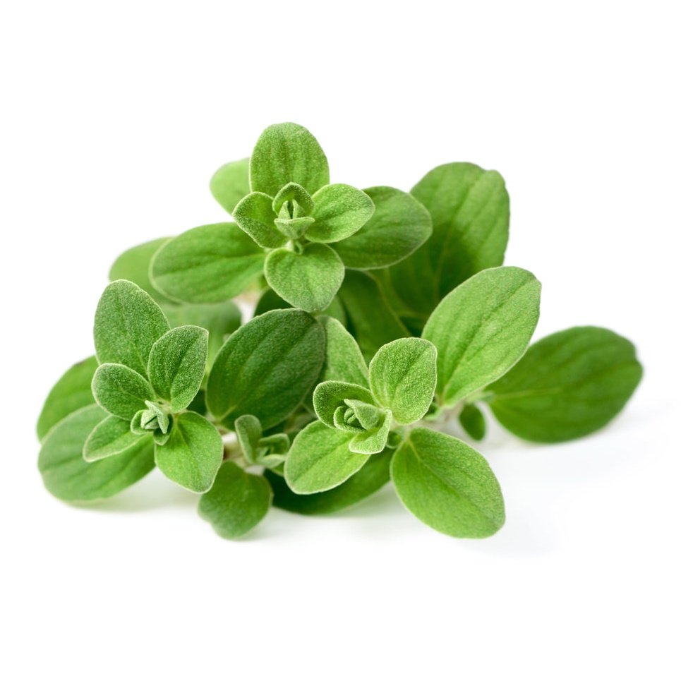 Ausganica Organic Essential Oil Marjoram Sweet 10ml