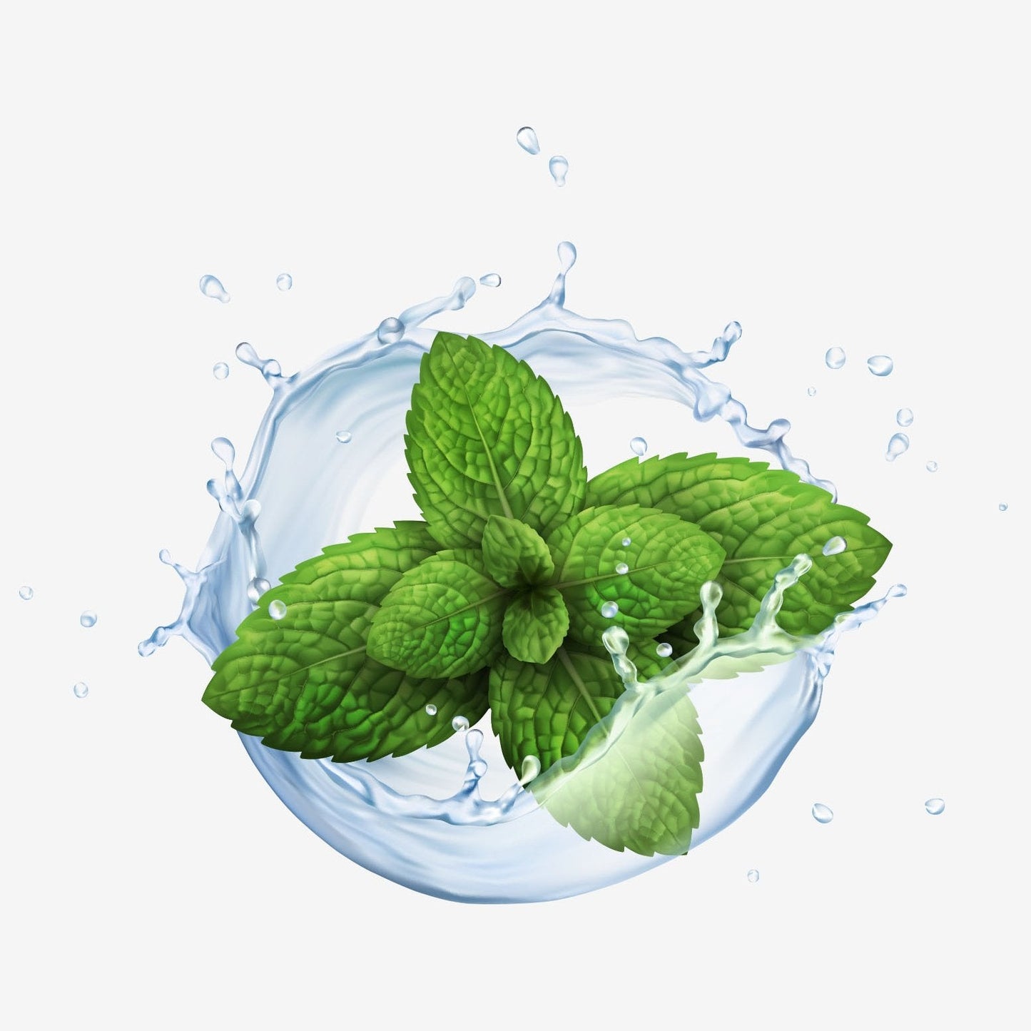 Ausganica Organic Essential Oil Peppermint 10ml