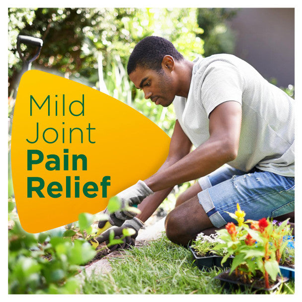 Pana Natra Joint Pain Relief 30 tablets